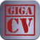 giga-cv Your tailor-made resume